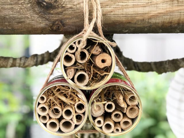 Mutti-Dosen als Insektenhotel