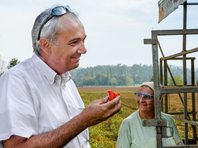 Tomatensaison 2020 von Mutti